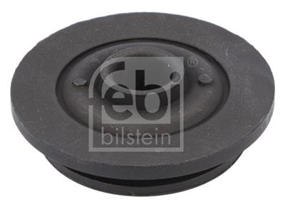 FEBI BILSTEIN 184381 EAN: 4054224843819.