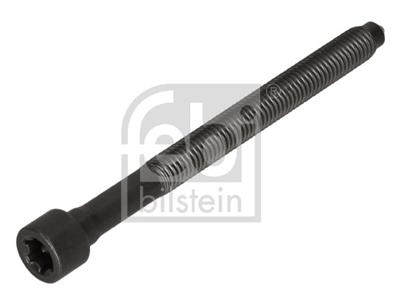 FEBI BILSTEIN 184669 EAN: 4054224846698.