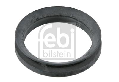 FEBI BILSTEIN 21617 EAN: 4027816216179.