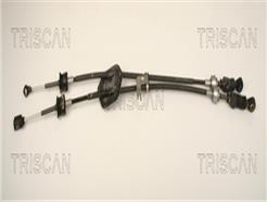 TRISCAN 8140 10702