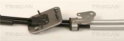 TRISCAN 8140 13705