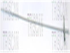 TRISCAN 8140 161214