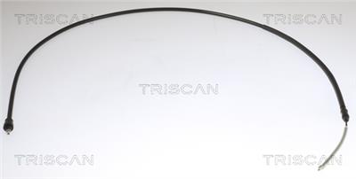 TRISCAN 8140 251254