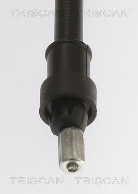 TRISCAN 8140 251254