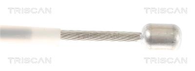 TRISCAN 8140 291186