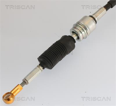 TRISCAN 8140 29722 EAN: 5710476406842.