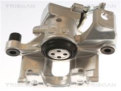 TRISCAN 8175 13208