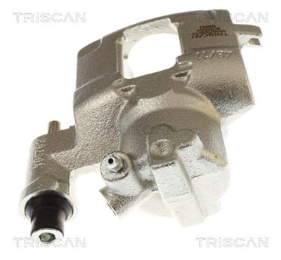 TRISCAN 8175 15101
