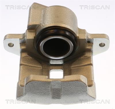 TRISCAN 8175 25101