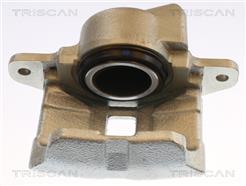 TRISCAN 8175 25102