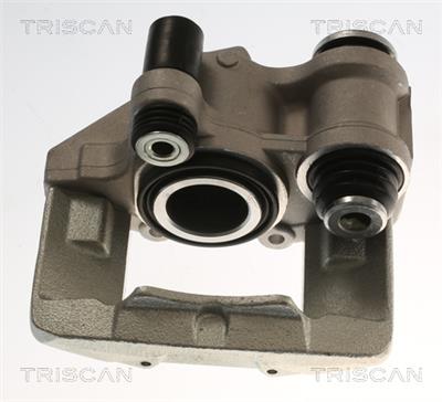 TRISCAN 8175 28110