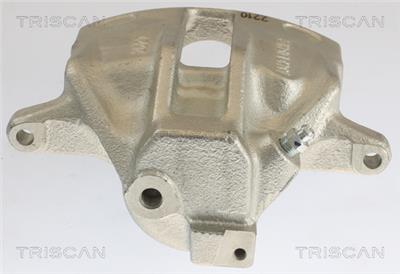 TRISCAN 8175 29107
