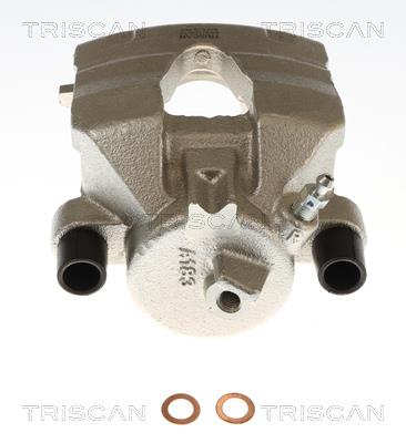 TRISCAN 8175 29190