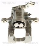 TRISCAN 8175 29208