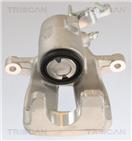 TRISCAN 8175 29228