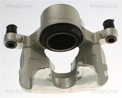 TRISCAN 8175 82103