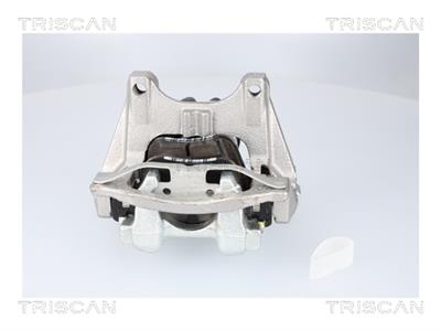 TRISCAN 8175 82203