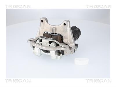 TRISCAN 8175 82204