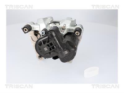 TRISCAN 8175 82204