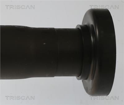 TRISCAN 8540 297014