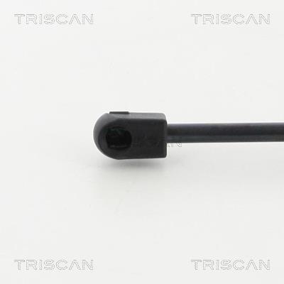 TRISCAN 8710 292010 EAN: 5710476138453.