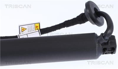 TRISCAN 8710 27302 EAN: 5710476317728.