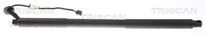 TRISCAN 8710 27305