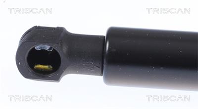 TRISCAN 8710 28300 EAN: 5710476324641.
