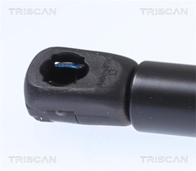 TRISCAN 8710 29153 EAN: 5710476324368.
