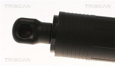 TRISCAN 8710 29306 EAN: 5710476354778.
