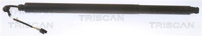 TRISCAN 8710 29313 EAN: 5710476392343.