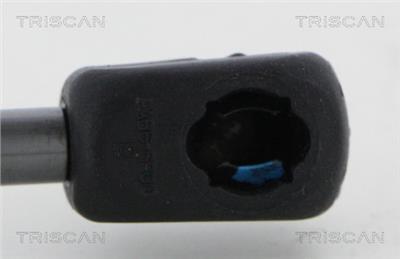 TRISCAN 8710 38246 EAN: 5710476293329.