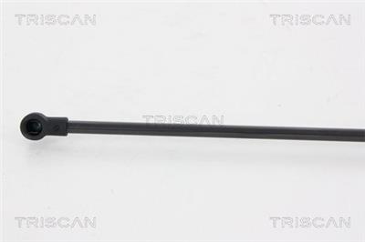 TRISCAN 8710 66207 EAN: 5710476029904.