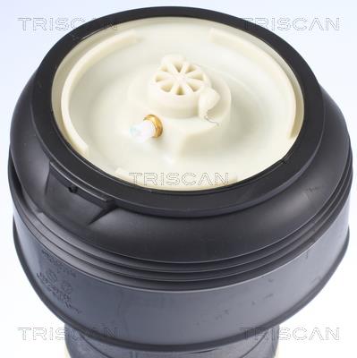 TRISCAN 8720 11203 EAN: 5710476326652.