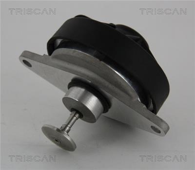 TRISCAN 8813 24202 EAN: 5710476238139.