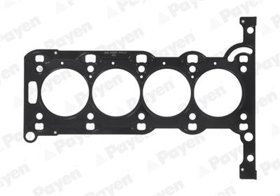 PAYEN AB5240 EAN: 8426345000383.