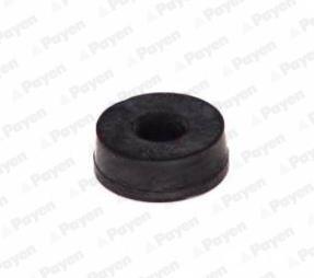 PAYEN JP076