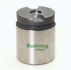 BUDWEG CALIPER 234220