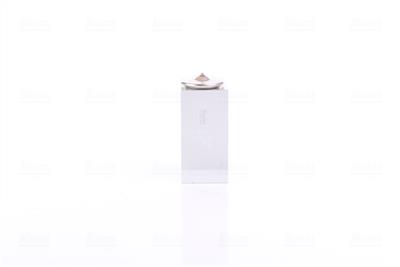 NISSENS 999392 Číslo výrobce: 70819245. EAN: 5707286484092.