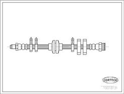 CORTECO 19018131