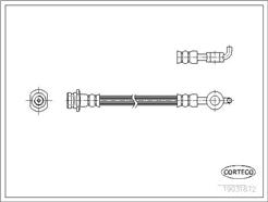 CORTECO 19031872