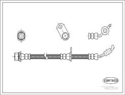 CORTECO 19033101