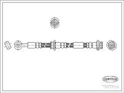 CORTECO 19033558
