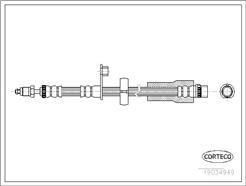 CORTECO 19034949