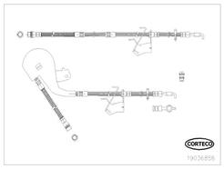 CORTECO 19036856
