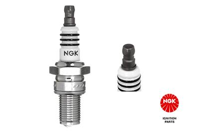 NGK 3006 Číslo výrobce: BR10ECMIX. EAN: 87295130063.