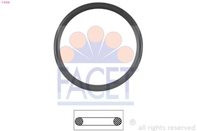 FACET 7.9538 Číslo výrobce: EPS 1.890.538. EAN: 8012510081914.