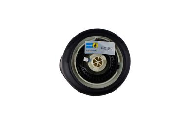 BILSTEIN 40-311463 EAN: 4025258862527.