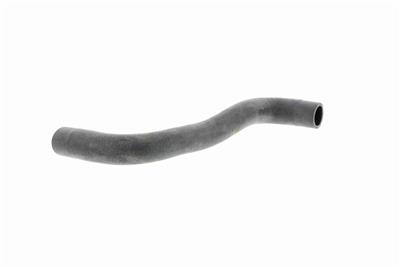 VAICO V10-0361 EAN: 4046001282843.