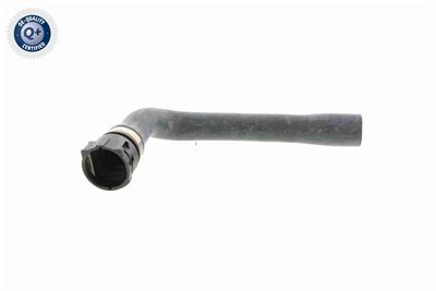 VAICO V10-0895 EAN: 4046001497841.